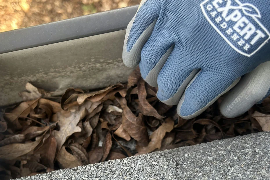 Gutter Cleaning Bear